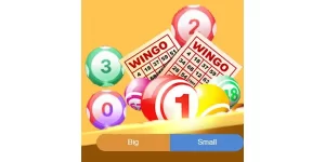 Wingo Guide